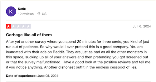 A negative Trustpilot review from a Prime Opinion user who does not feel the compensation is worth the time spent. 