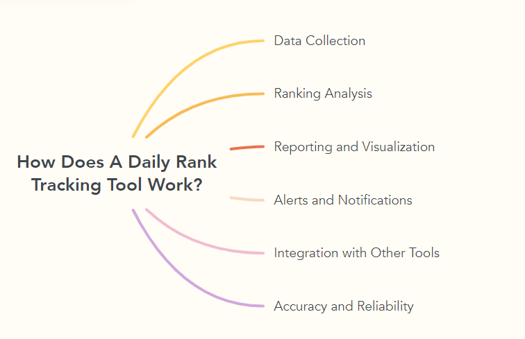 How Does A Daily Rank Tracking Tool Work?