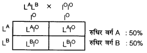 UP Board Solutions for Class 12 Biology Chapter 5 Principles of Inheritance and Variation 4Q.2.7