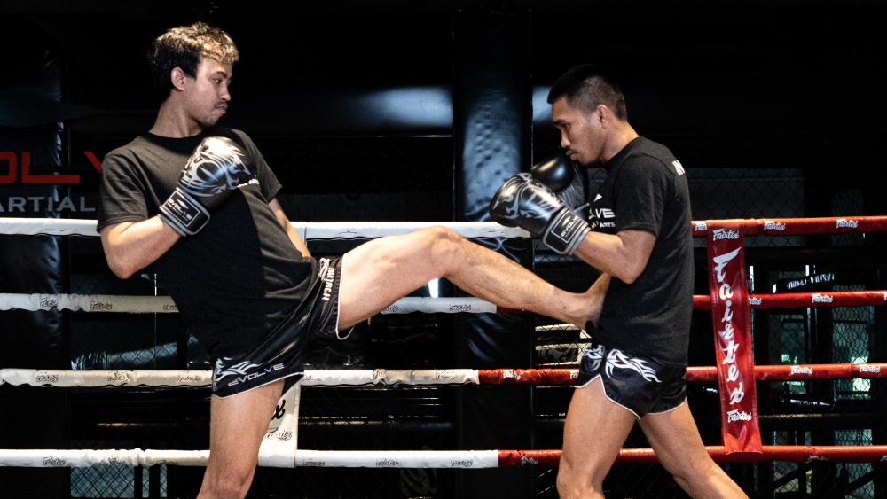 Basic Muay Thai Moves for Beginners - Front Kick (Teep)