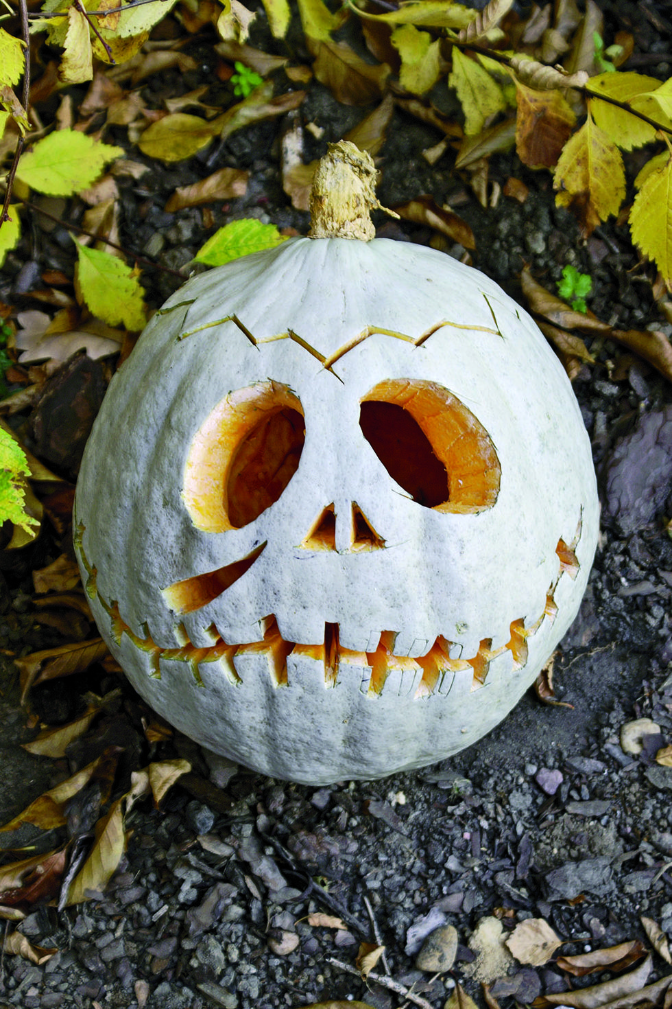 pumpkin carving ideas, carved pumpkin with a skeleton face