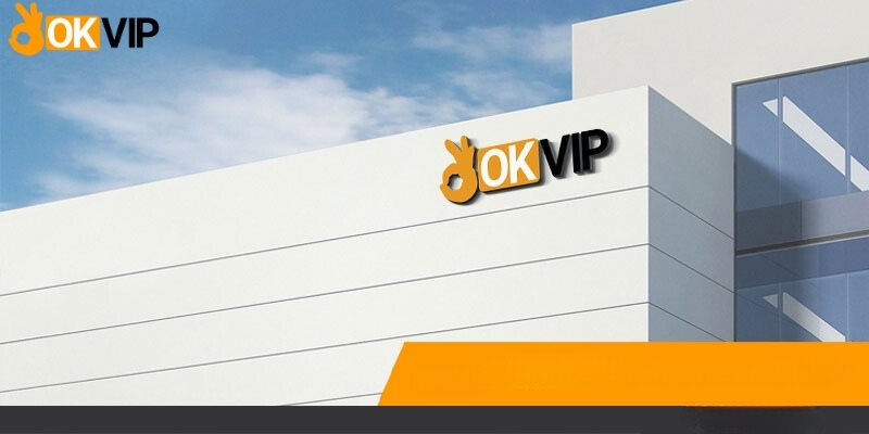 OKVIP - đối tác đáng tin cậy trong lĩnh vực kinh doanh 4.0