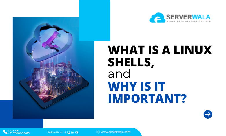 What is a Linux Shells, and Why is it Important? 