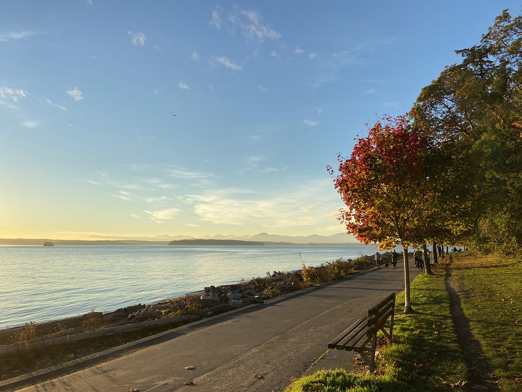 There is a bench and beautiful view of water and walking space near the river