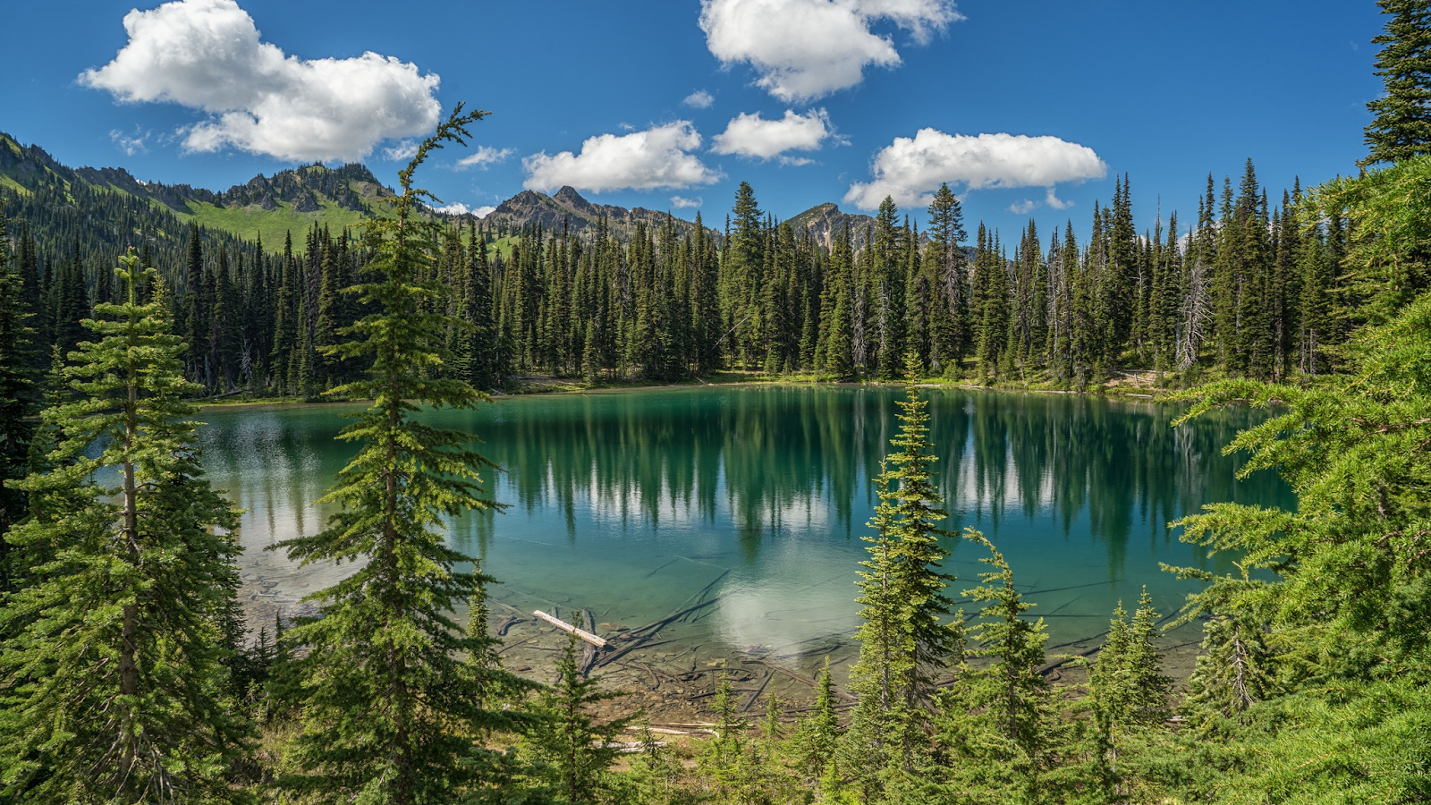 Green Lake surrounded by tall trees and blue clouds in the sky