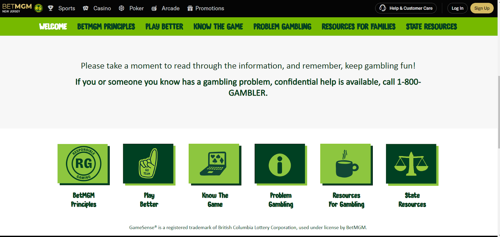 Responsible Gambling BetMGM review