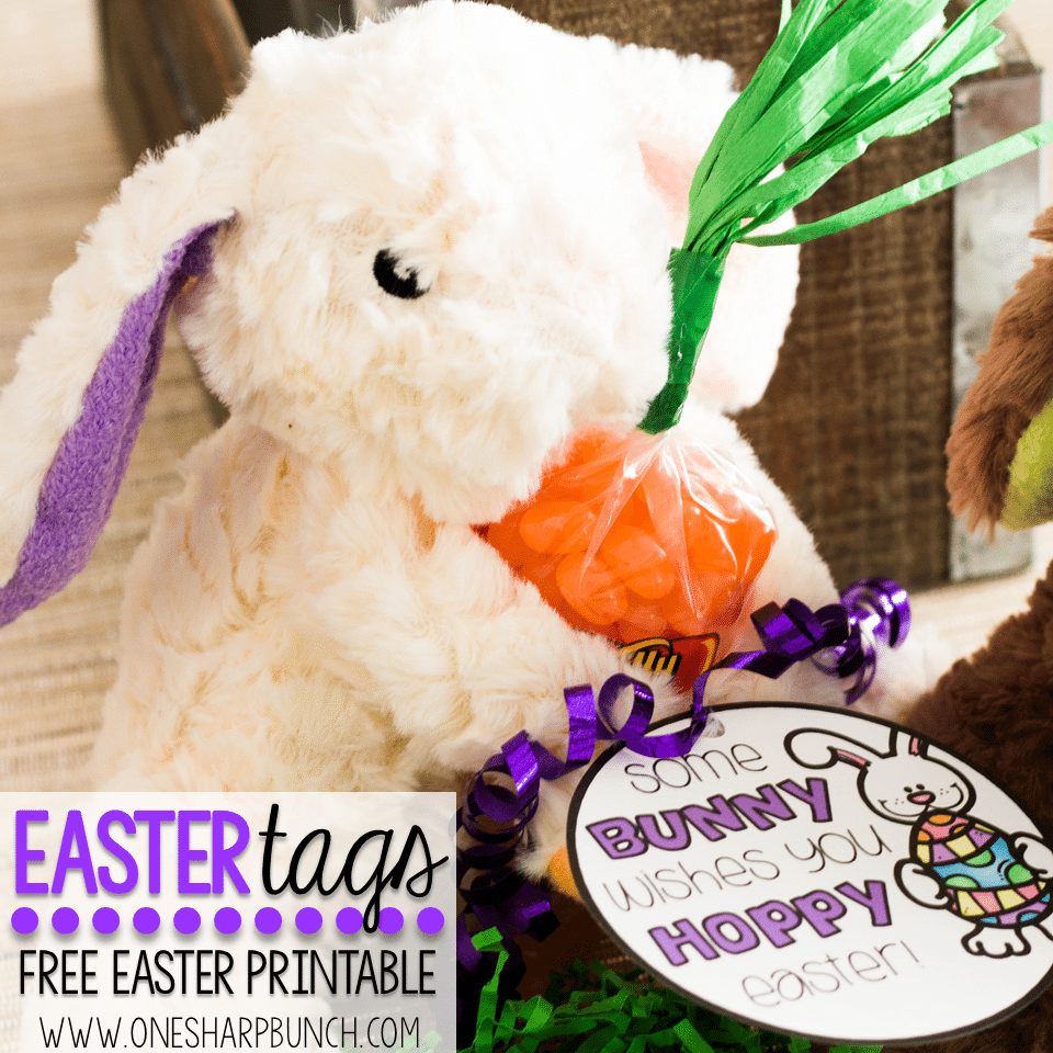 Free Printable Easter Gift Tags – Use these free Easter tags to wish some bunny a hoppy Easter! It’ll be the perfect addition to all of your Easter basket ideas!