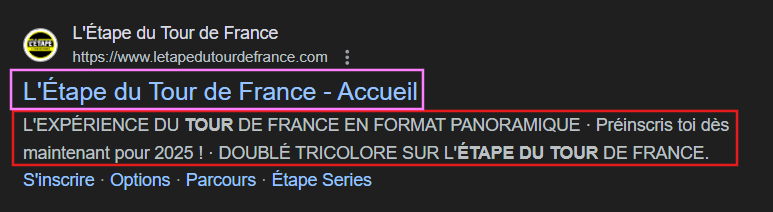 balises meta sur fond gris foncé encadrés en rouge et violet