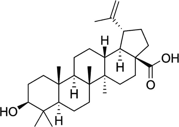 Betulinic Acid Structure