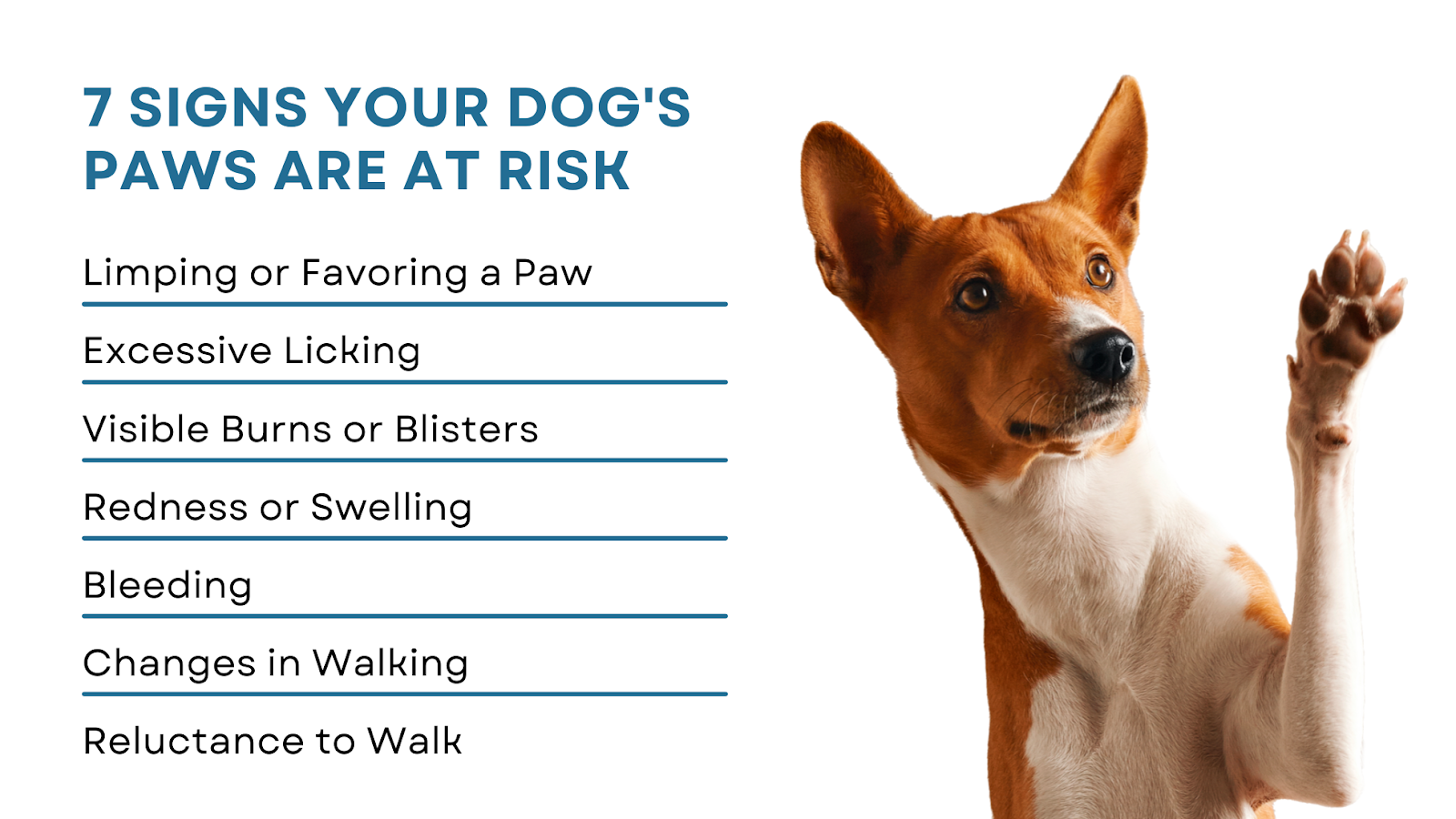 Signs dog paws risk