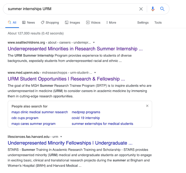 A screenshot of the first three links that come up when you google "summer internship URM"