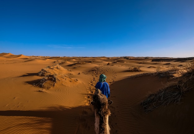 Male with a blue shirt walking in front of a camel in the middle of sand dunes with clear sky