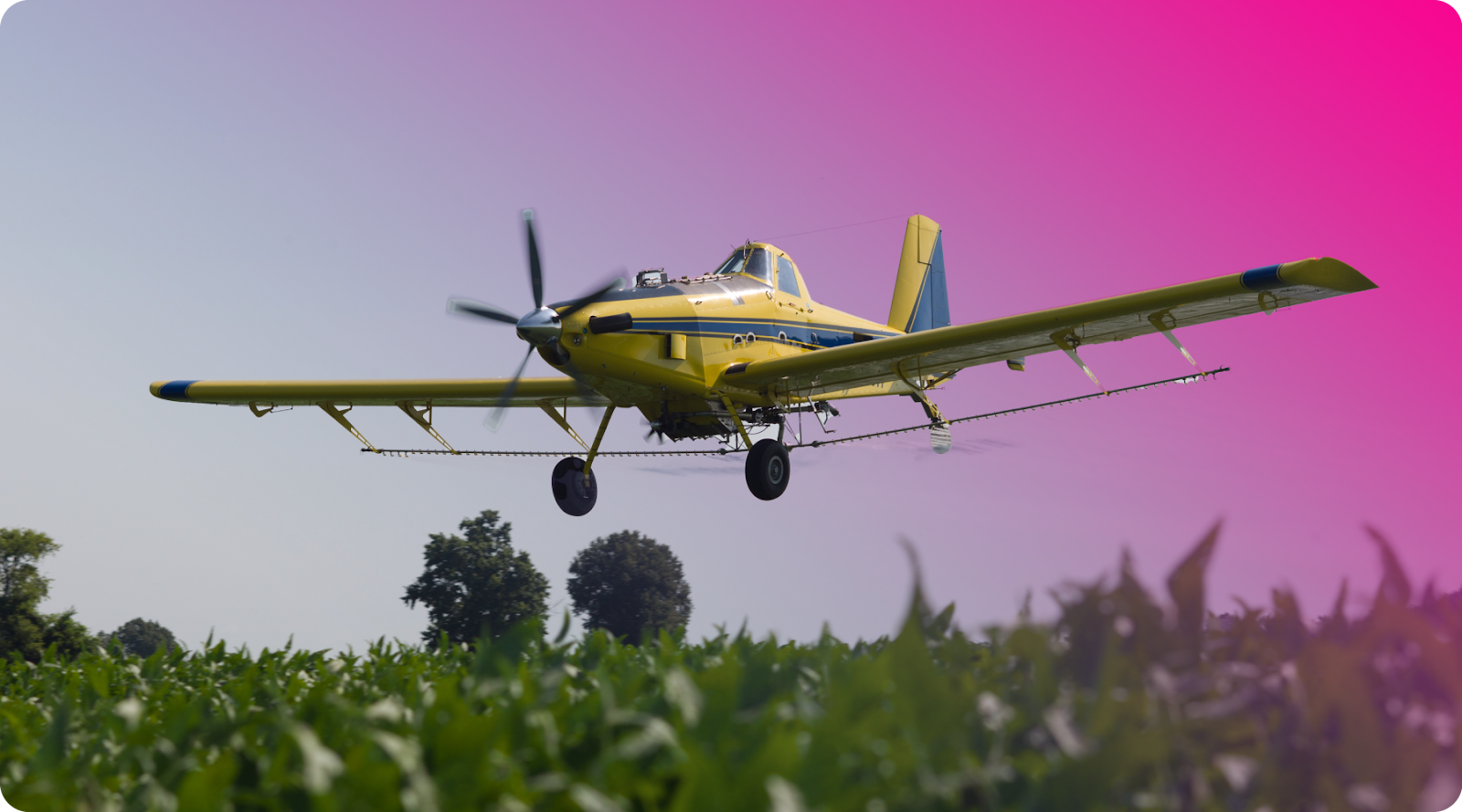 An agricultural airplane spraying crops.