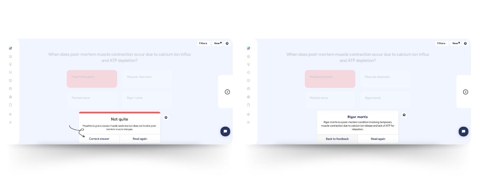 AI study method 