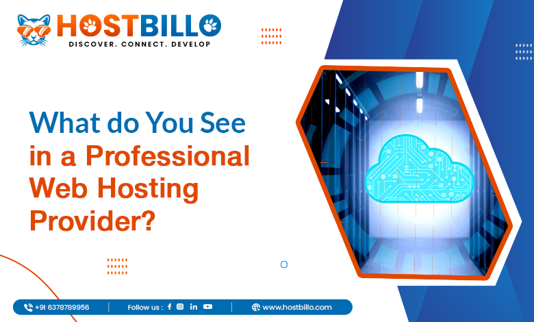 What Do You See in a Professional Web Hosting Provider?