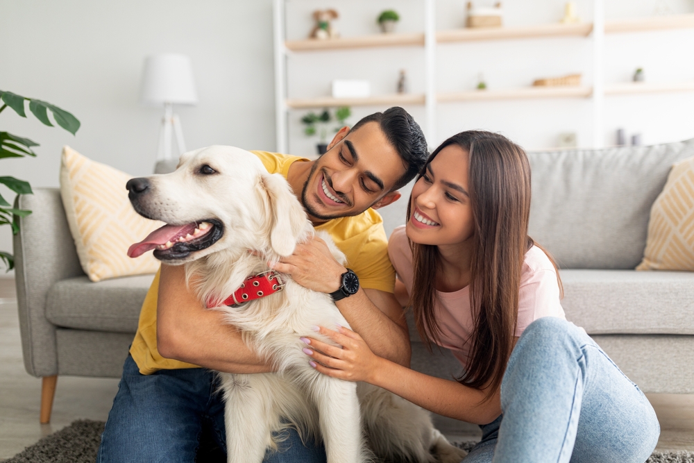 feliz pareja multirracial rascando a su perro mascota