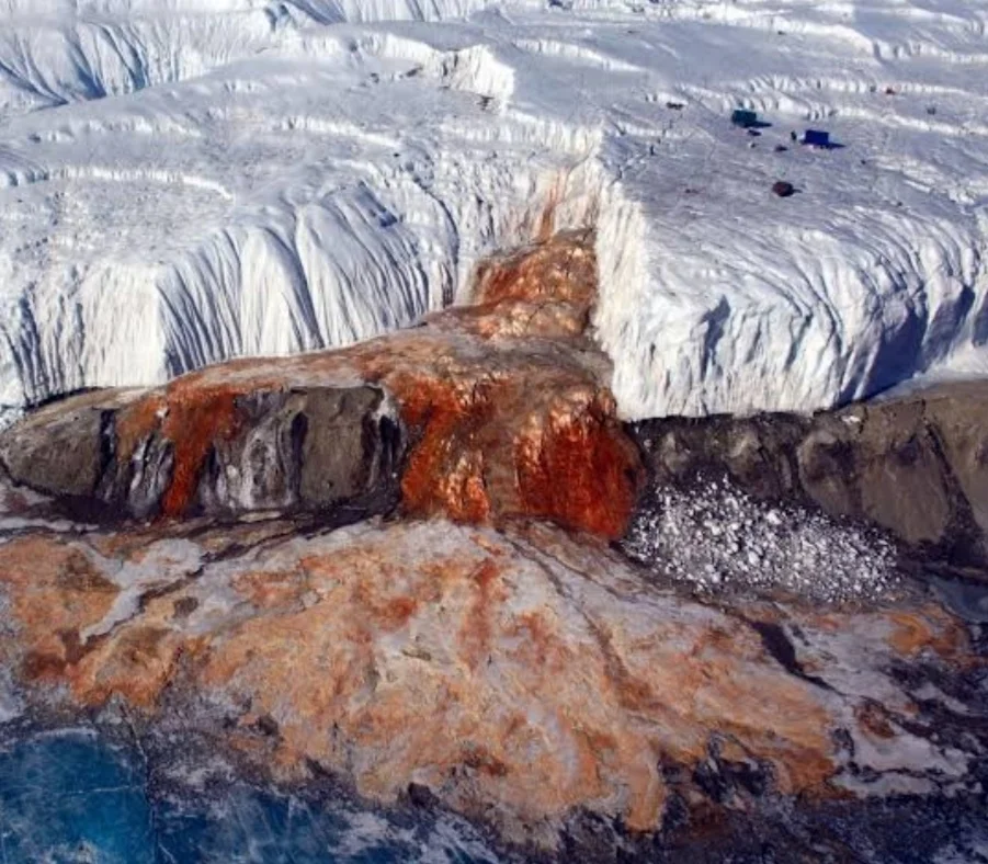 Exploring Earth's Natural Marvels: Blood Falls, Reverse Waterfalls, Lake Hillier, and Chocolate Hills