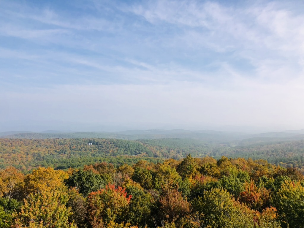 A panoramic view of a Fall deciduous forest from Gile watch tower, in Vermont.