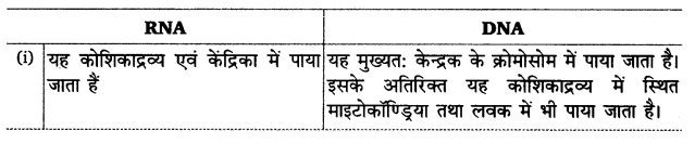 UP Board Solutions for Class 12 Biology Chapter 11 Biotechnology Principles and Processes Q.12.2