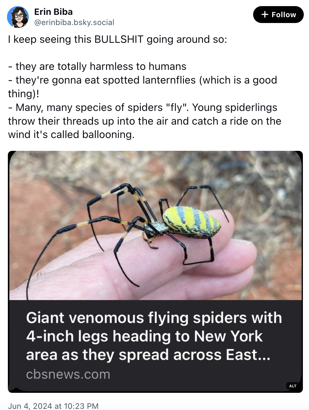 I keep seeing this BULLSHIT going around so: - they are totally harmless to humans - they're gonna eat spotted lanternflies (which is a good thing)! - Many, many species of spiders "fly". Young spiderlings throw their threads up into the air and catch a ride on the wind it's called ballooning.