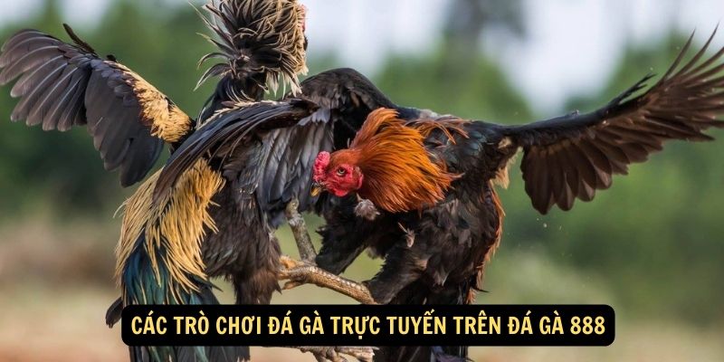 Các trò chơi đá gà trực tuyến trên đá gà 888