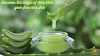 Discover the magic of Aloe Vera for your face and skin 