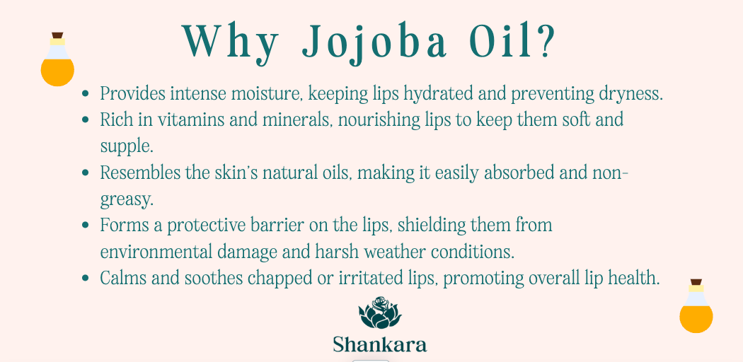 Infographic with jojoba oil illustrations outlining the benefits of jojoba oil for lips, including providing intense moisture, vitamins and minerals to keep lips soft and supple, resembling skin's natural oils, forming a protective barrier, and soothing chapped or irritated lips.