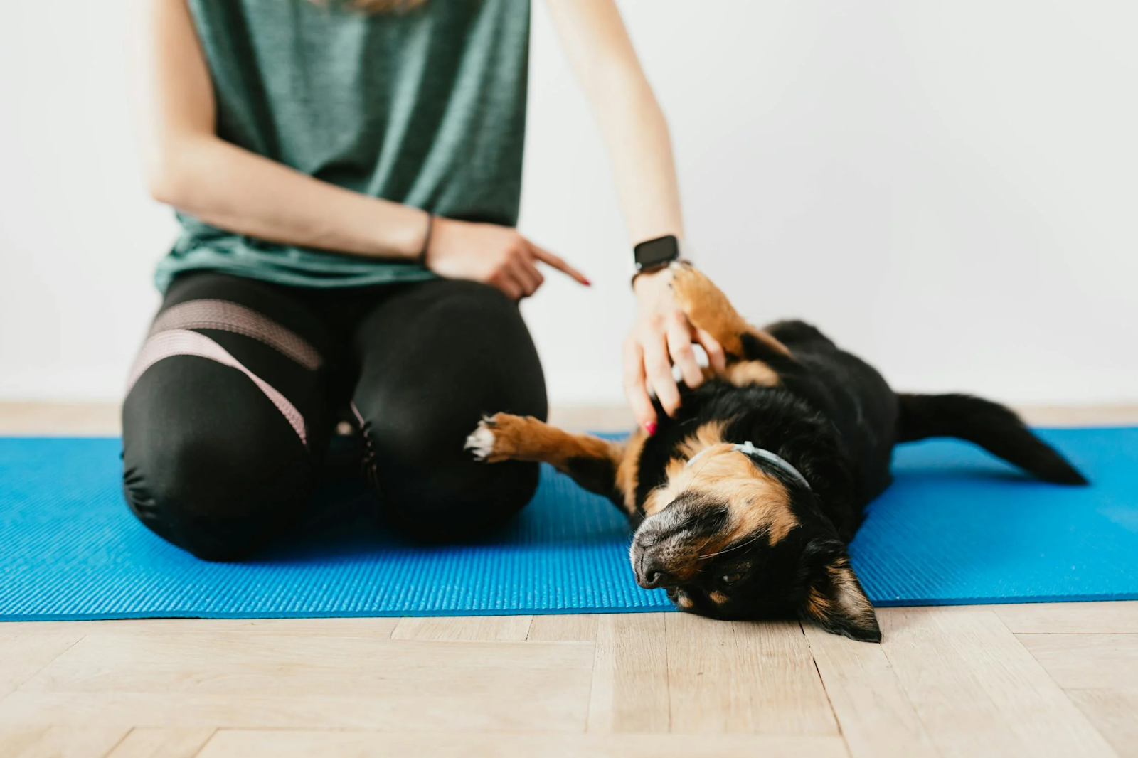 Photograph of a woman doing yoga with her dog