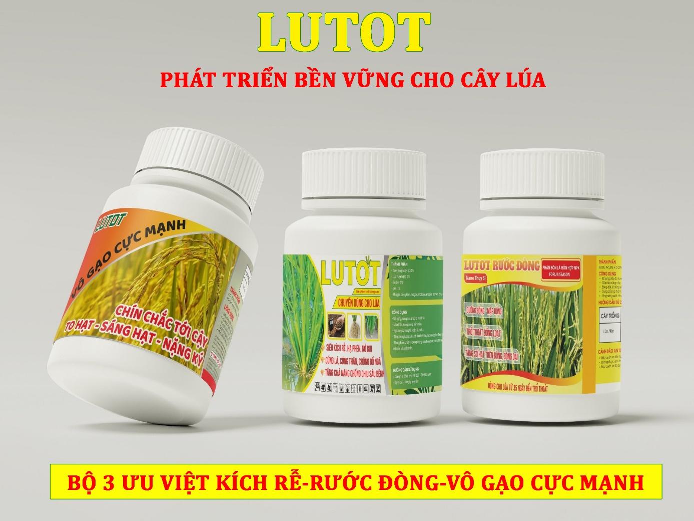 D:LUTOTCẢ-3.jpg