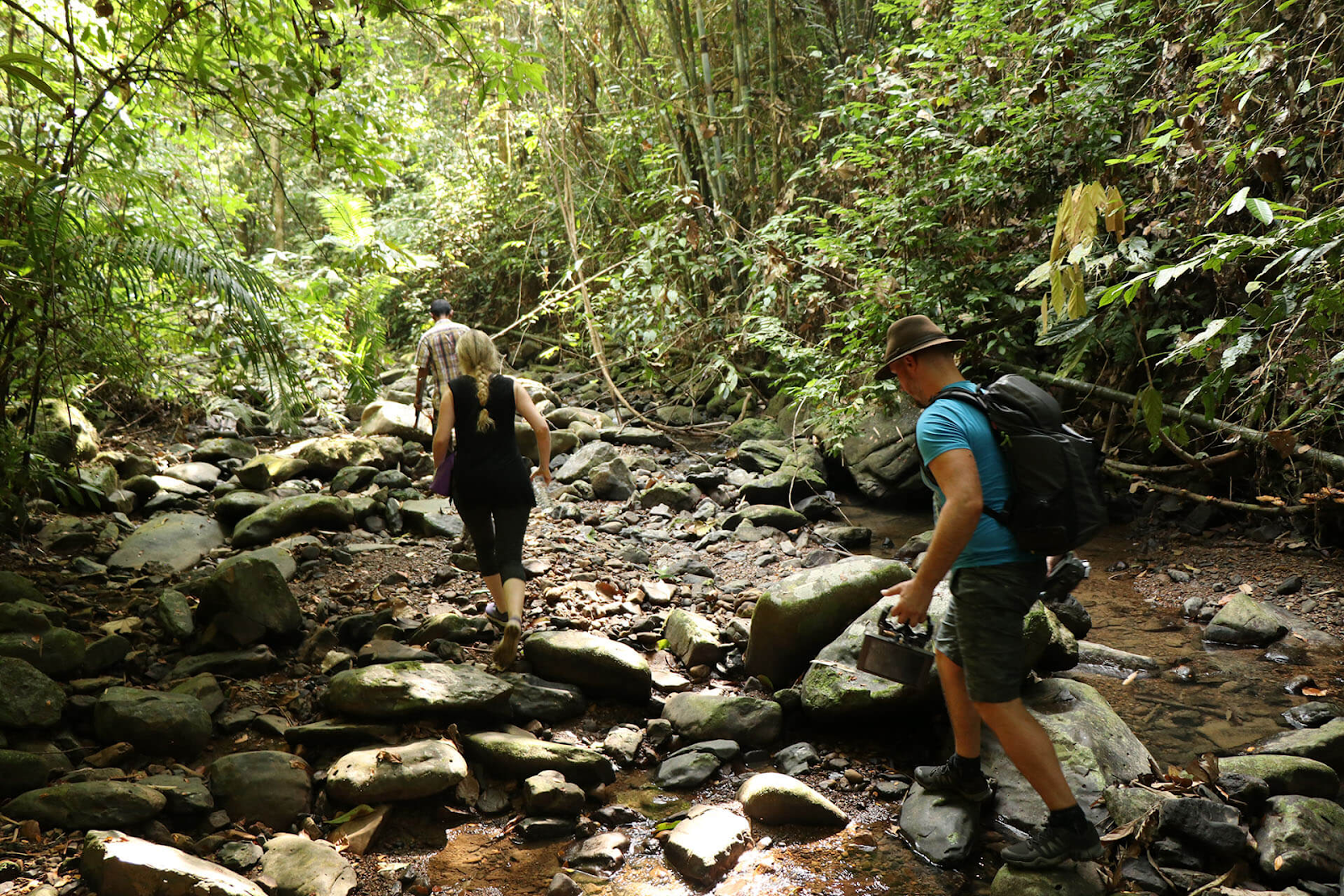 Rainforest of Khao Sok National Park