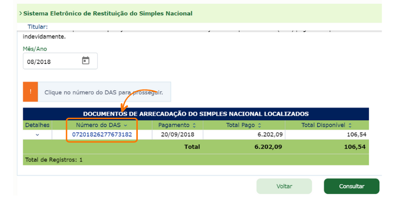Pedido Eletrônico de Restituição: saiba o que é e como fazer!