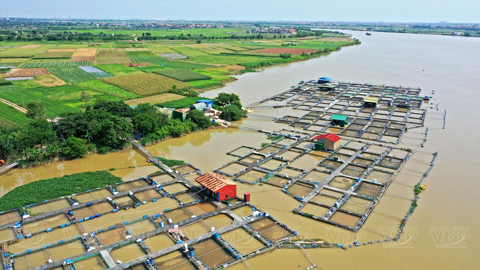 kinh doanh gì ở nông thôn