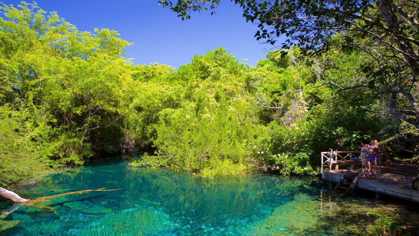 Indigenous Eyes Ecological Park in Punta Cana | Expedia.co.in