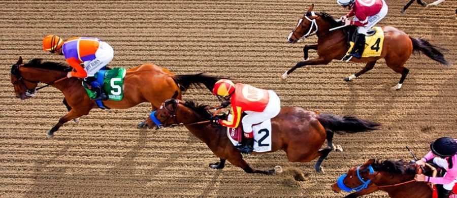 Horse racing. Source: American Farriers Journal