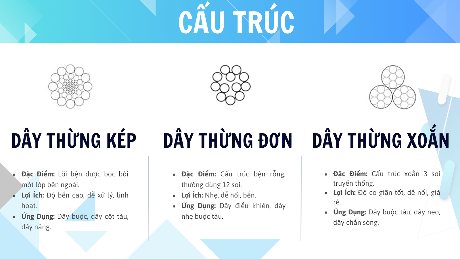 HƯỚNG DẪN TOÀN BỘ VỀ DÂY THỪNG HÀNG HẢI: LỰA CHỌN VÀ ỨNG DỤNG