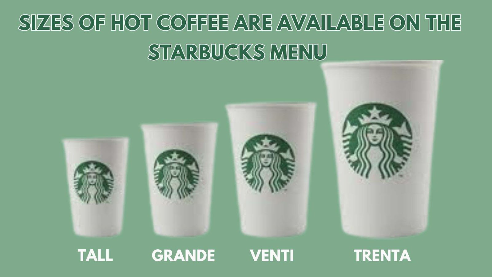 sizes of hot coffee available on the Starbucks menu