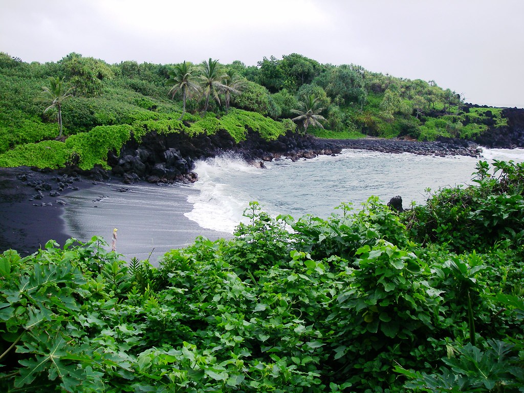 Gushing waves, lush green forest and back sand shore