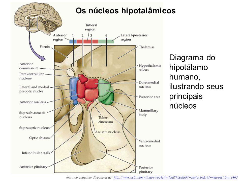 DiagramaDescrição gerada automaticamente