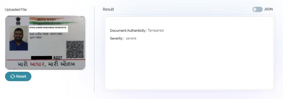 Document Fraud Detection