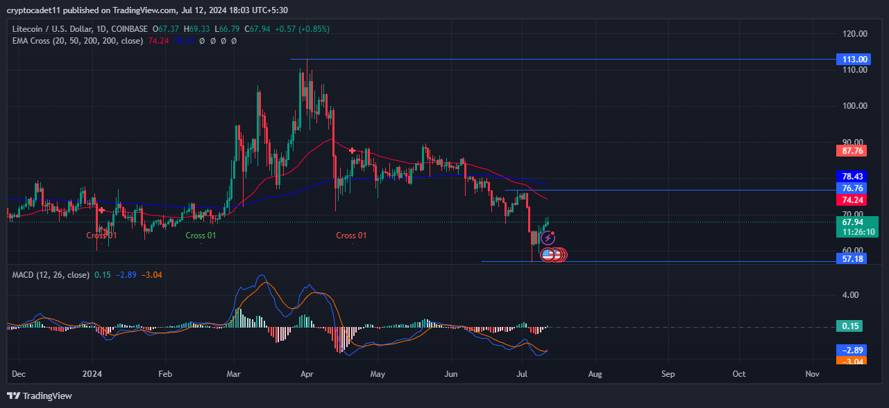 Litecoin Whale Activity