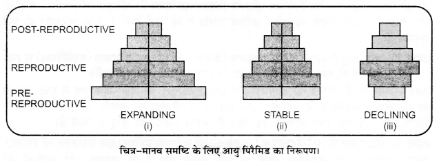 UP Board Solutions for Class 12 Biology Chapter 13 Organisms and Populations Q.5.1