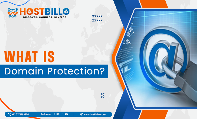 What is Domain Protection?