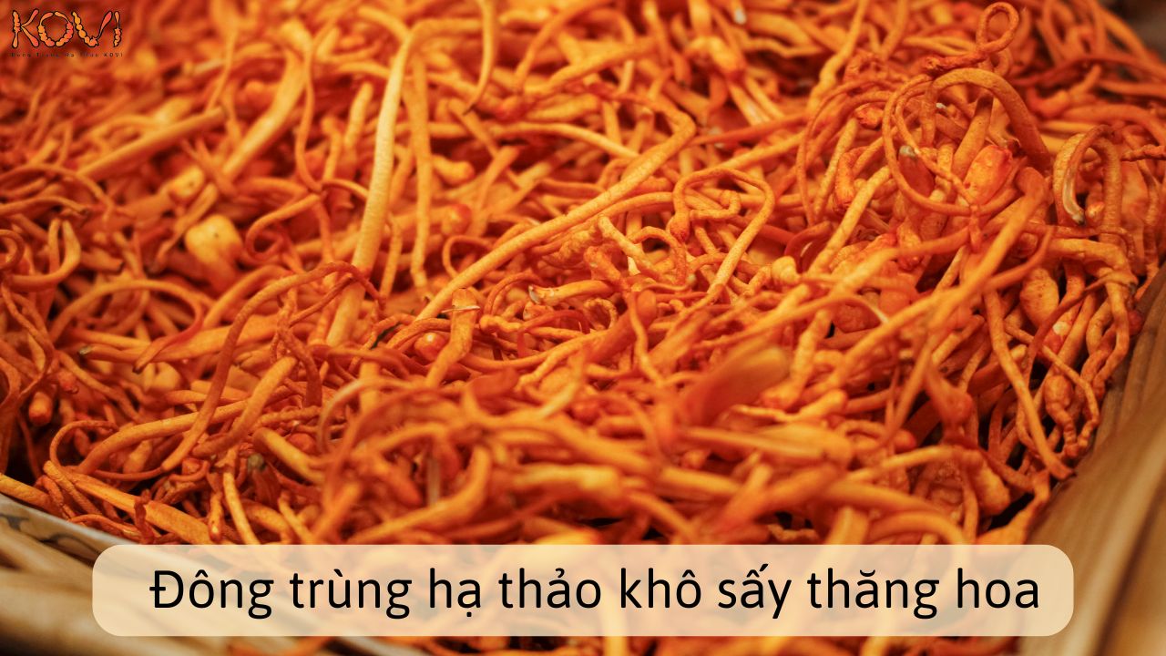 đông trùng hạ thảo khô