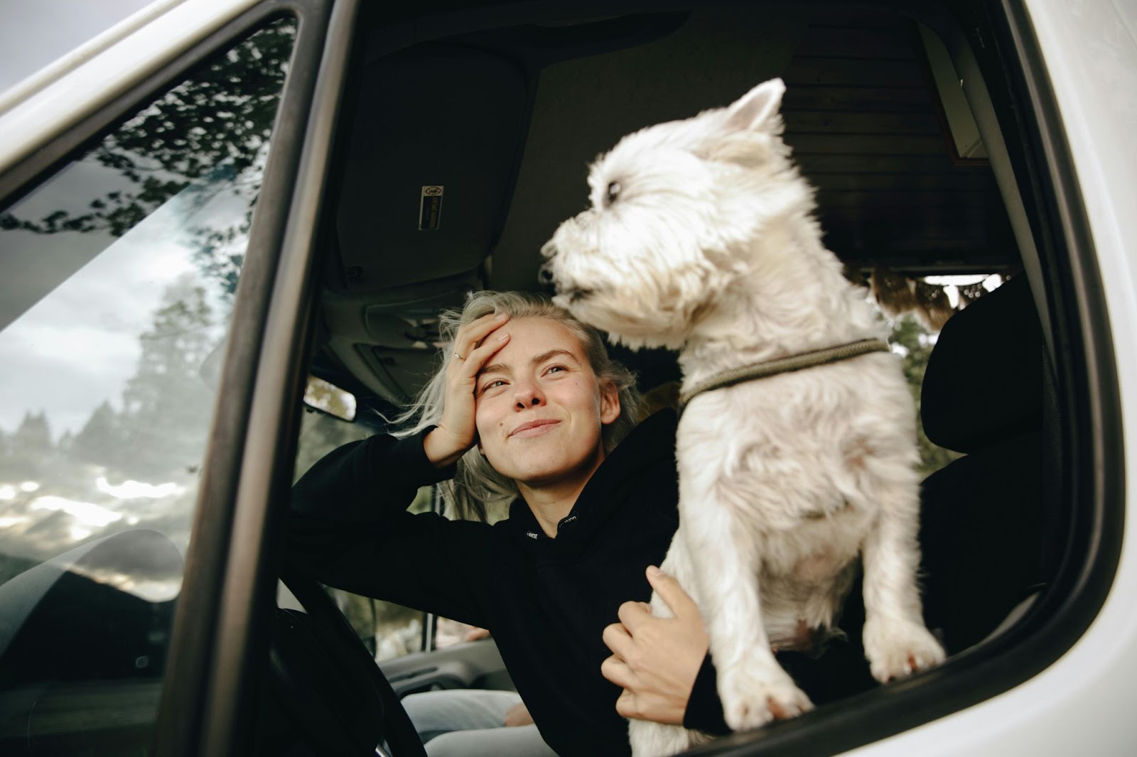best car seat cover for pets