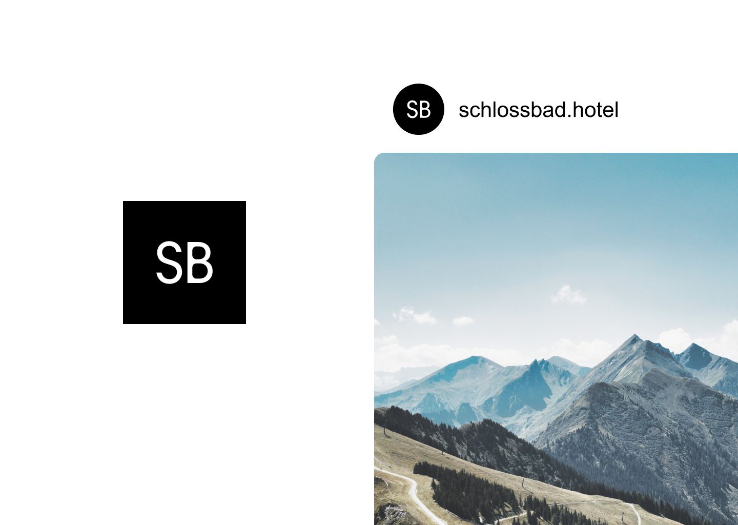 Artifact from the Crafting a Luxurious Alpine Branding for Schlossbad Hotel article on Abduzeedo