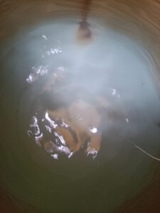 hygienic tank cleaning services in delhi