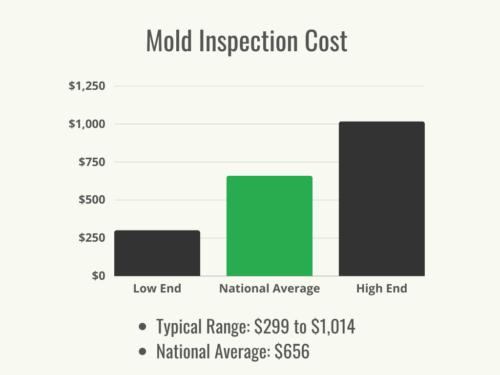 how to get a free mold inspection