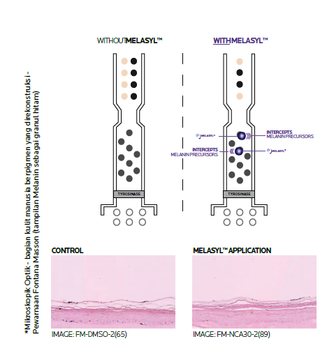 A diagram of a cell membrane

Description automatically generated with medium confidence