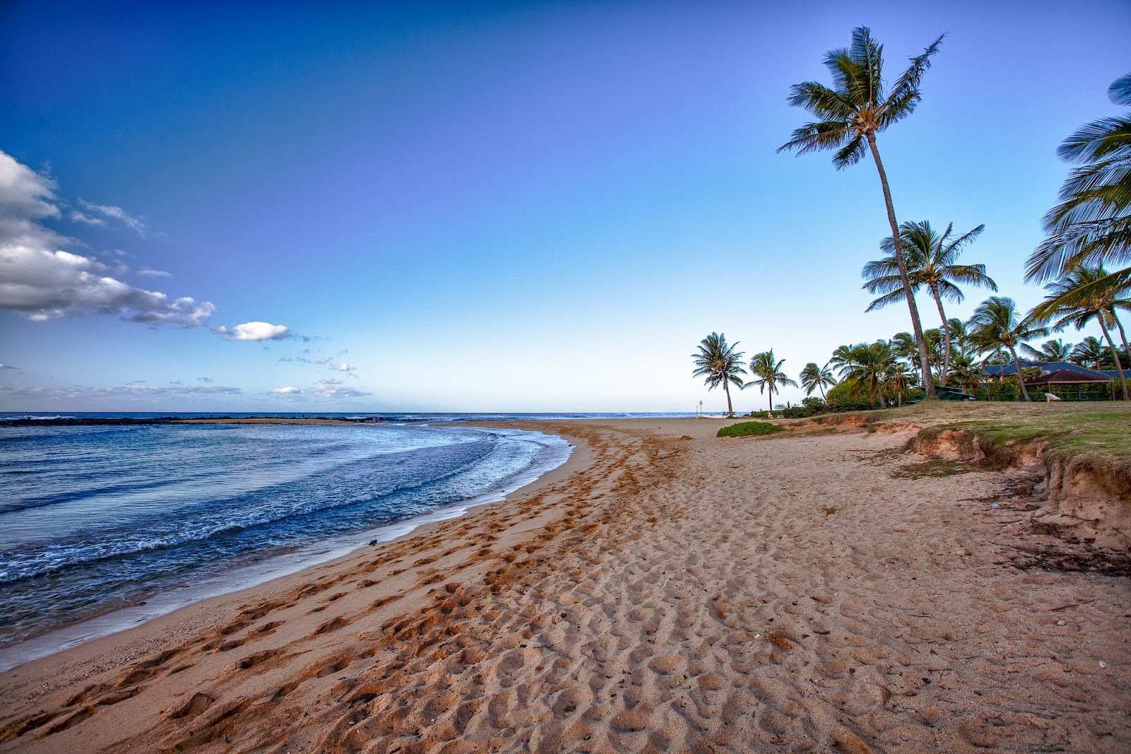 Blue water and palm trees on the shore.