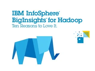 IBM InfoSphere BigInsights     